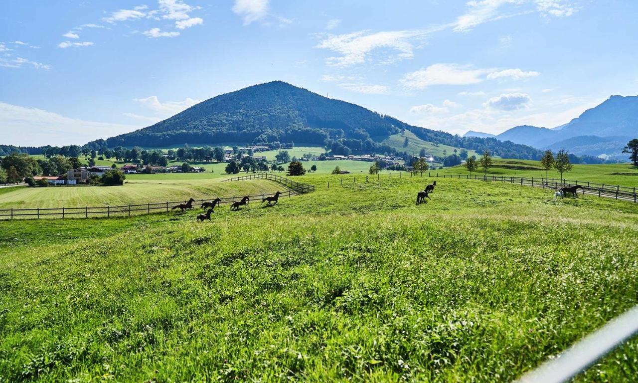 Hof Hauserbichl Фішбахау Екстер'єр фото