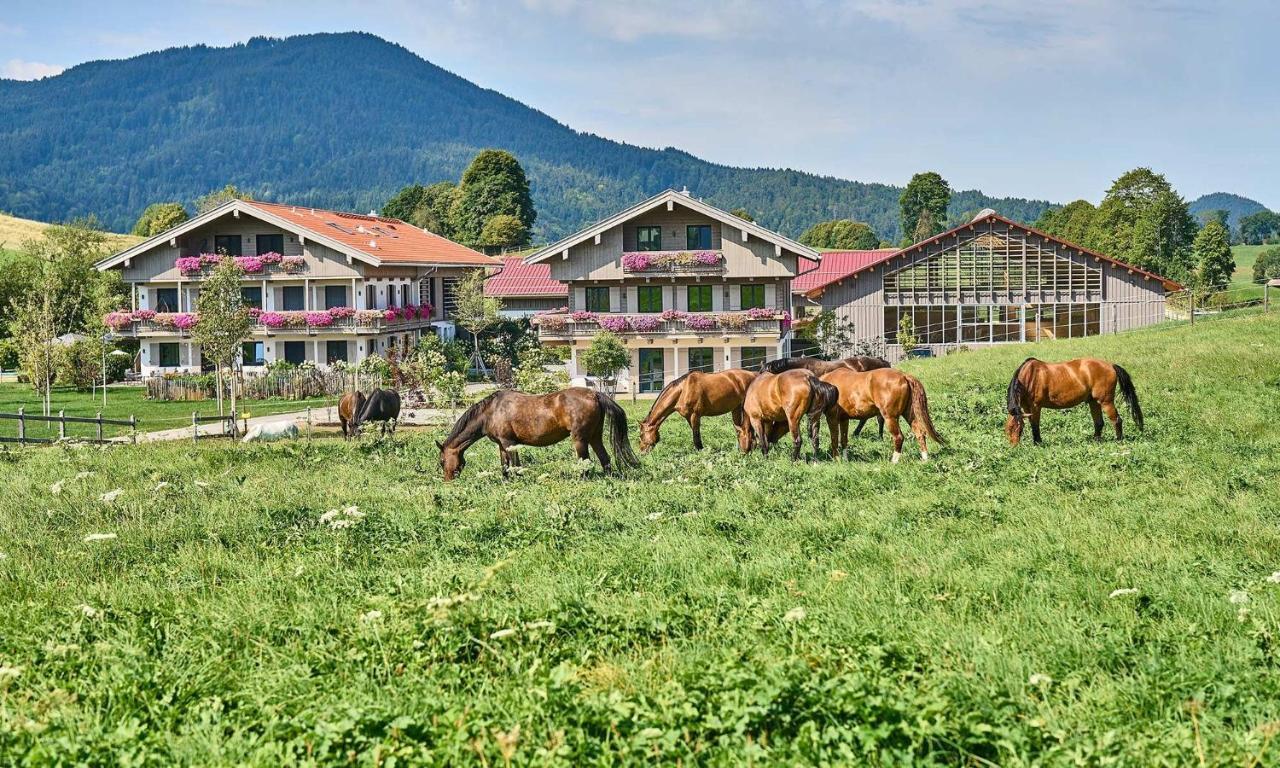Hof Hauserbichl Фішбахау Екстер'єр фото